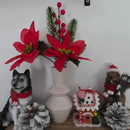 30m2 Avec 매그랜드