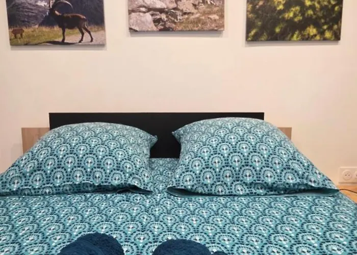 Διαμέρισμα 30m2 Avec Magland